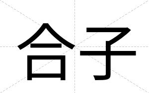 合子