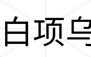 白项乌