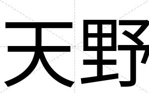 天野