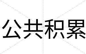 公共积累