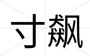 寸飙