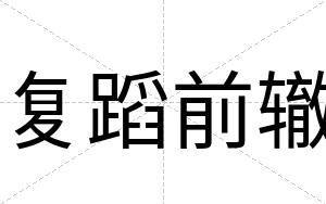 复蹈前辙