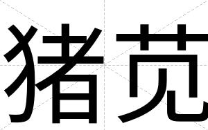 猪苋