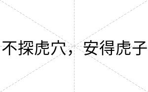 不探虎穴，安得虎子