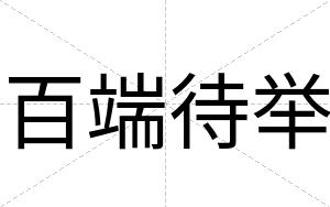 百端待举