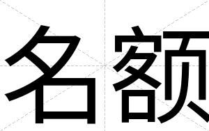 名额