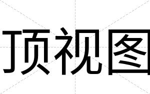顶视图