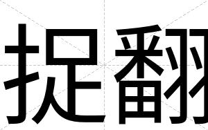 捉翻