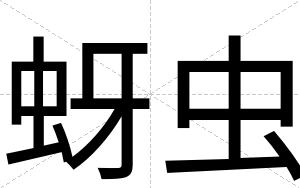 蚜虫