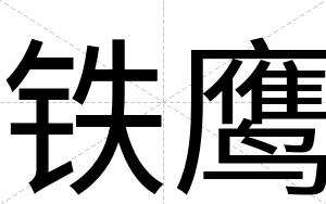 铁鹰