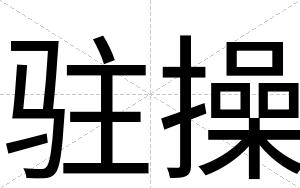 驻操
