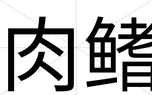 肉鳍