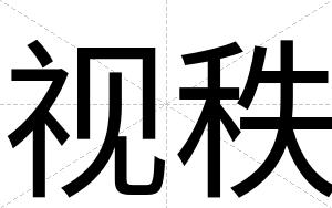 视秩