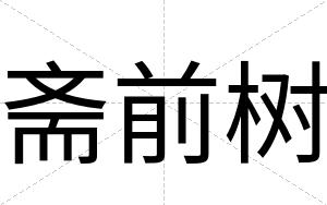 斋前树