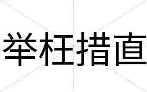 举枉措直