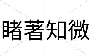 睹著知微