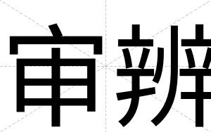 审辨