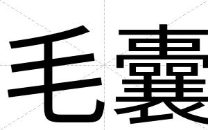 毛囊