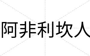 阿非利坎人