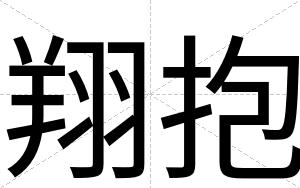 翔抱