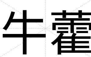 牛藿