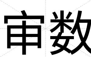 审数