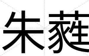 朱蕤