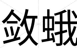 敛蛾