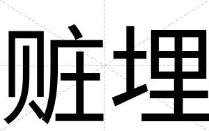 赃埋
