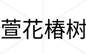 萱花椿树