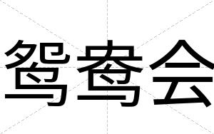 鸳鸯会