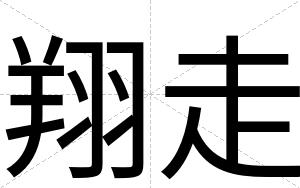翔走