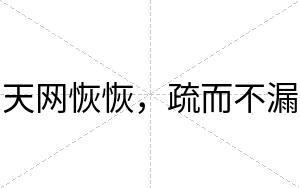 天网恢恢，疏而不漏