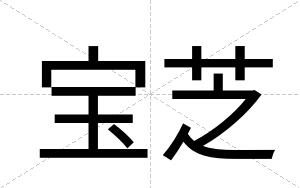 宝芝
