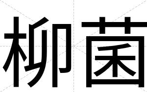 柳菌