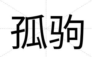 孤驹