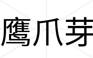 鹰爪芽