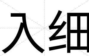 入细
