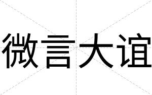微言大谊