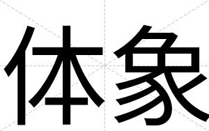 体象