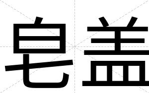 皂盖