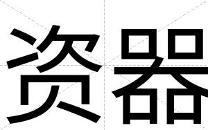 资器