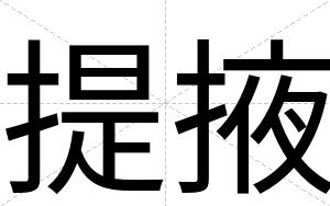 提掖