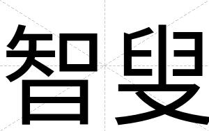 智叟
