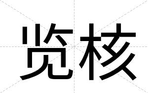 览核