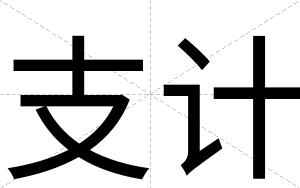 支计