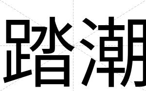 踏潮