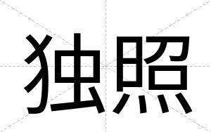 独照