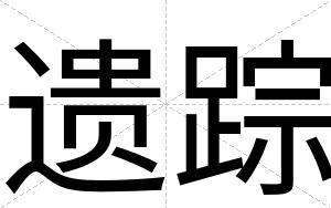 遗踪