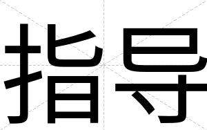 指导